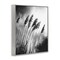Stupell Industries Stark Contrast Wheat Framed Giclee Wall Art Design by Petal Prints Design